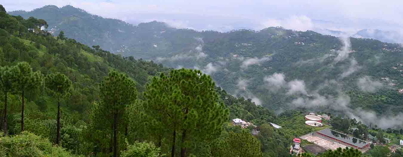 Kasauli